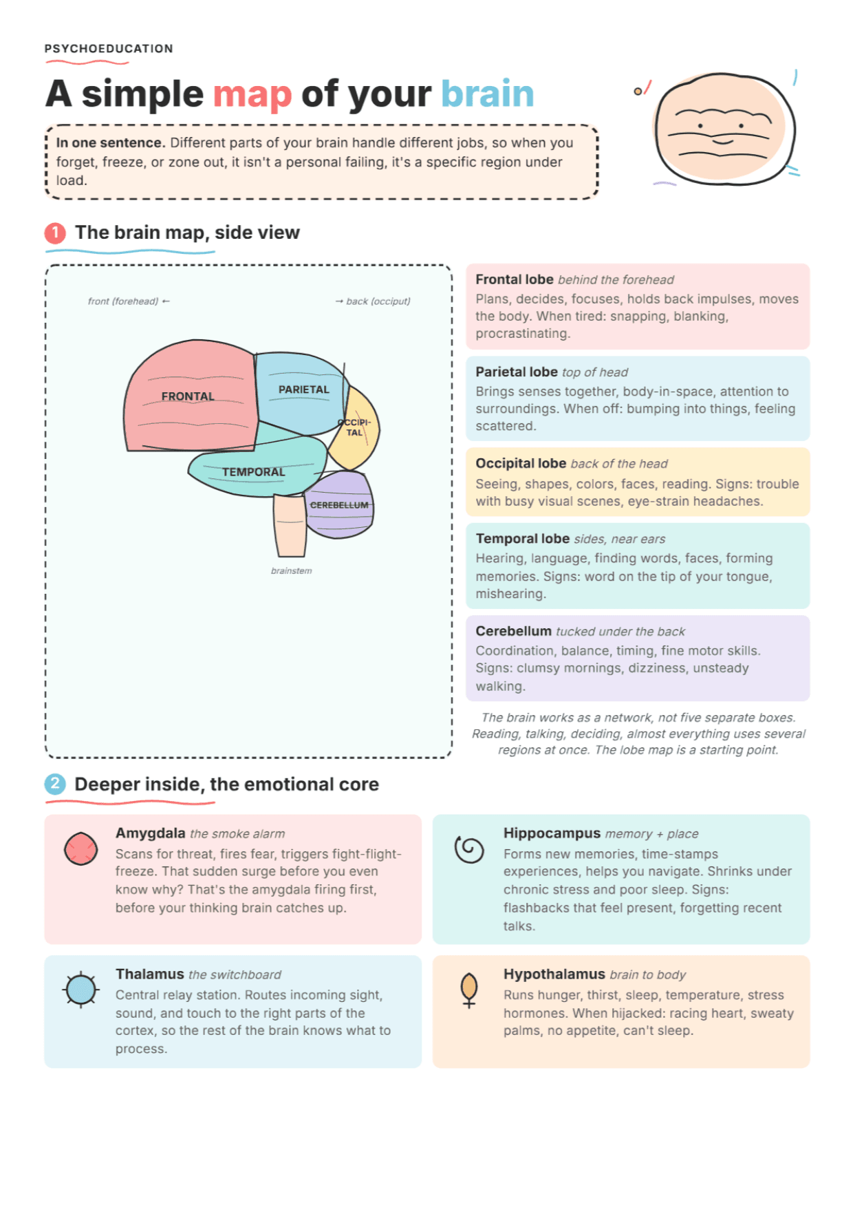 What Does the Brain Do? PDF Worksheet, Tools and Exercises