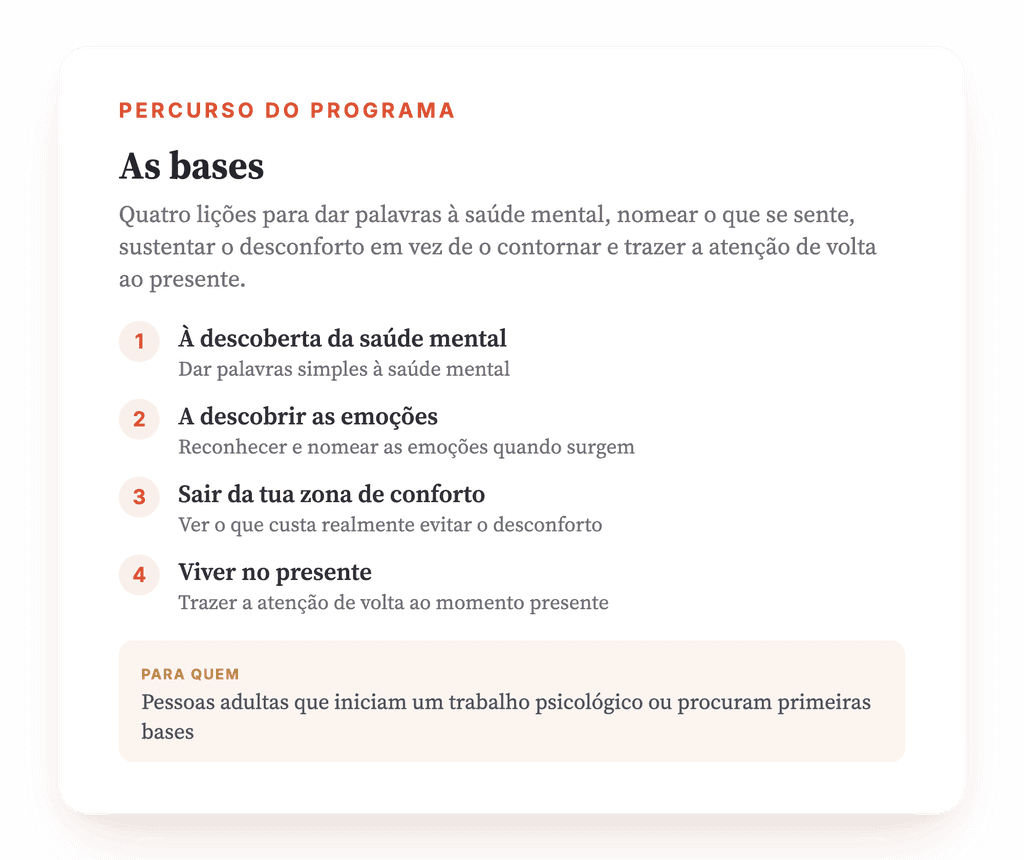 As Bases da Saúde Mental: Programa Psicoeducativo Clínico
