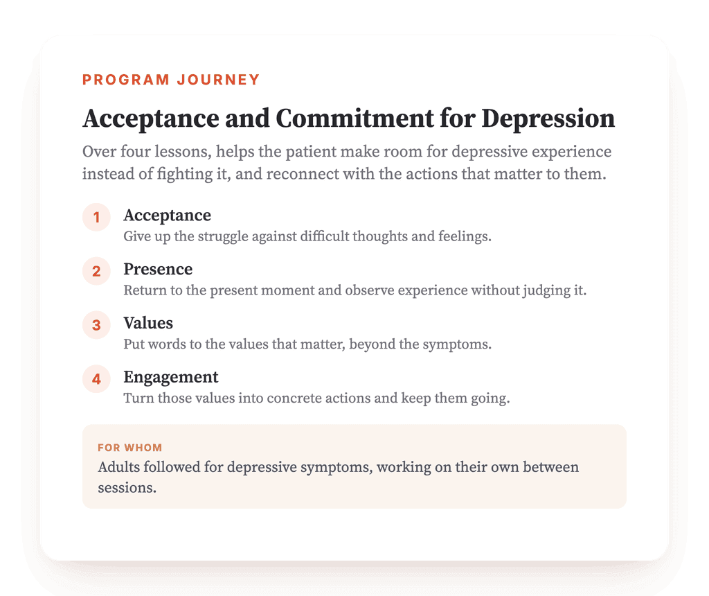 ACT for Depression: A Structured Psychoeducation Program