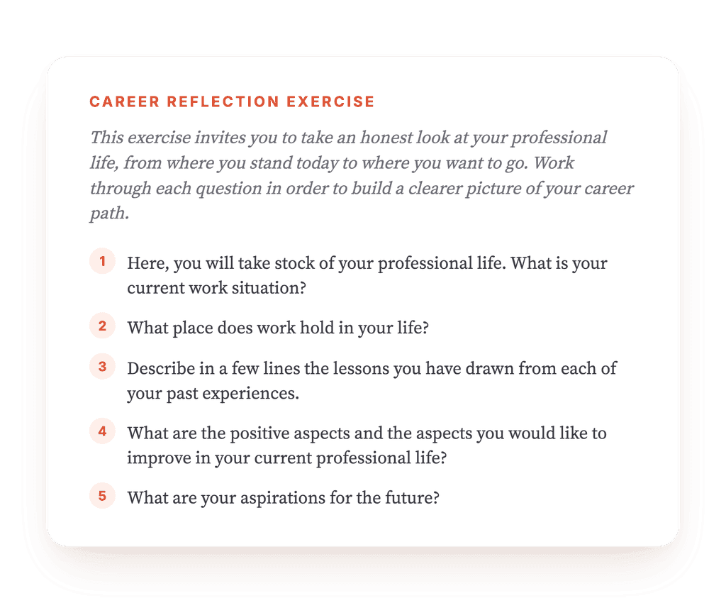 Professional Life Assessment: A Structured Reflection Tool