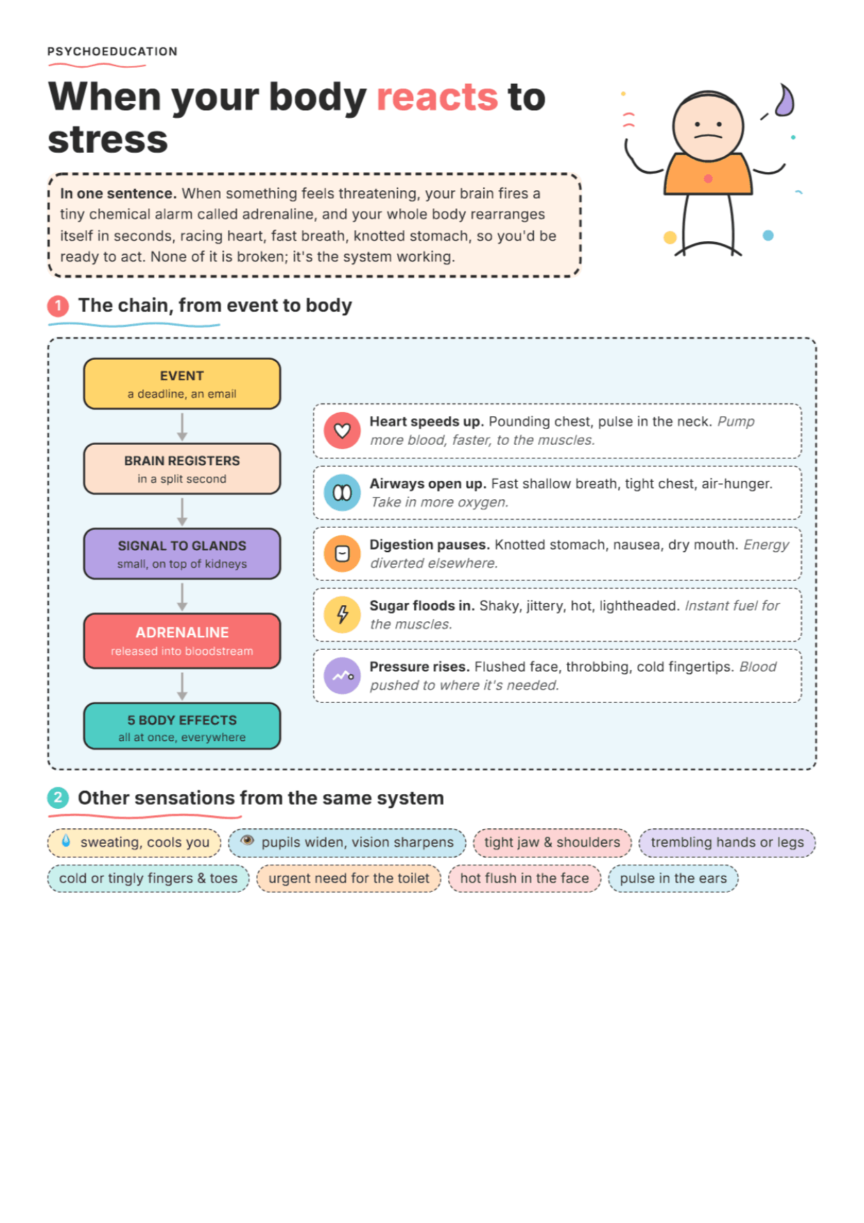 How Your Body Responds to Stress: PDF Worksheet, Tools and Exercises