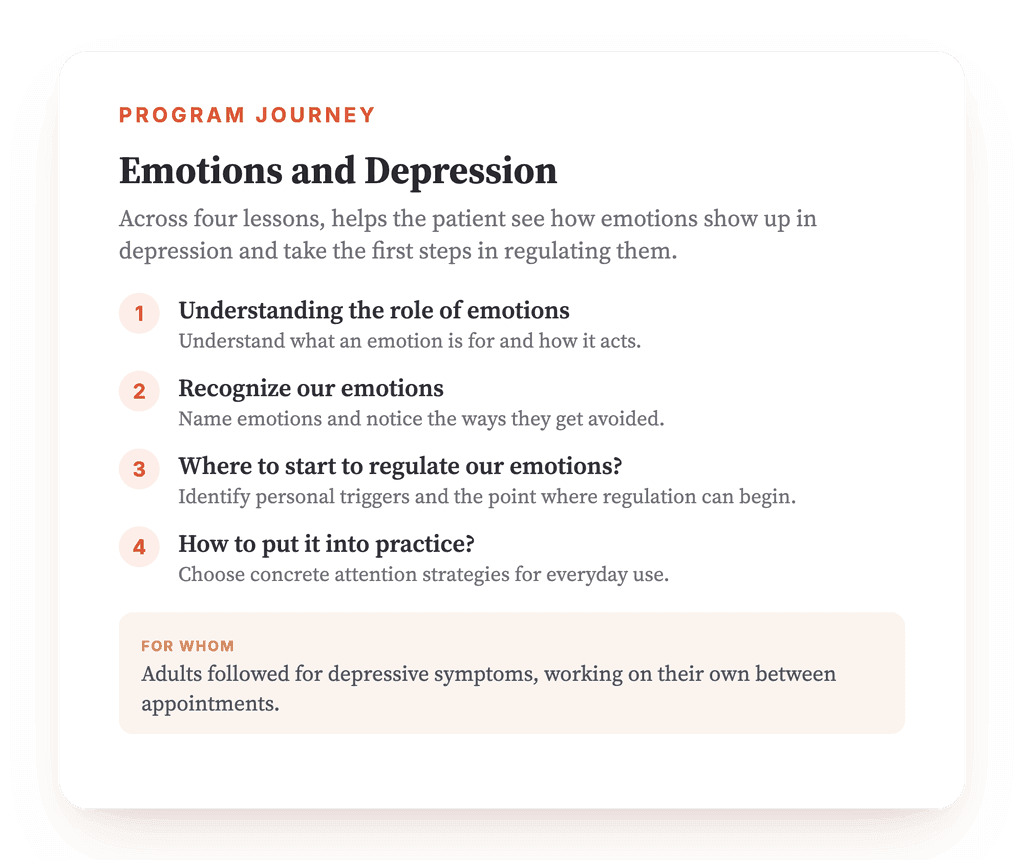 Emotions in Depression: A Structured Psychoeducation Program