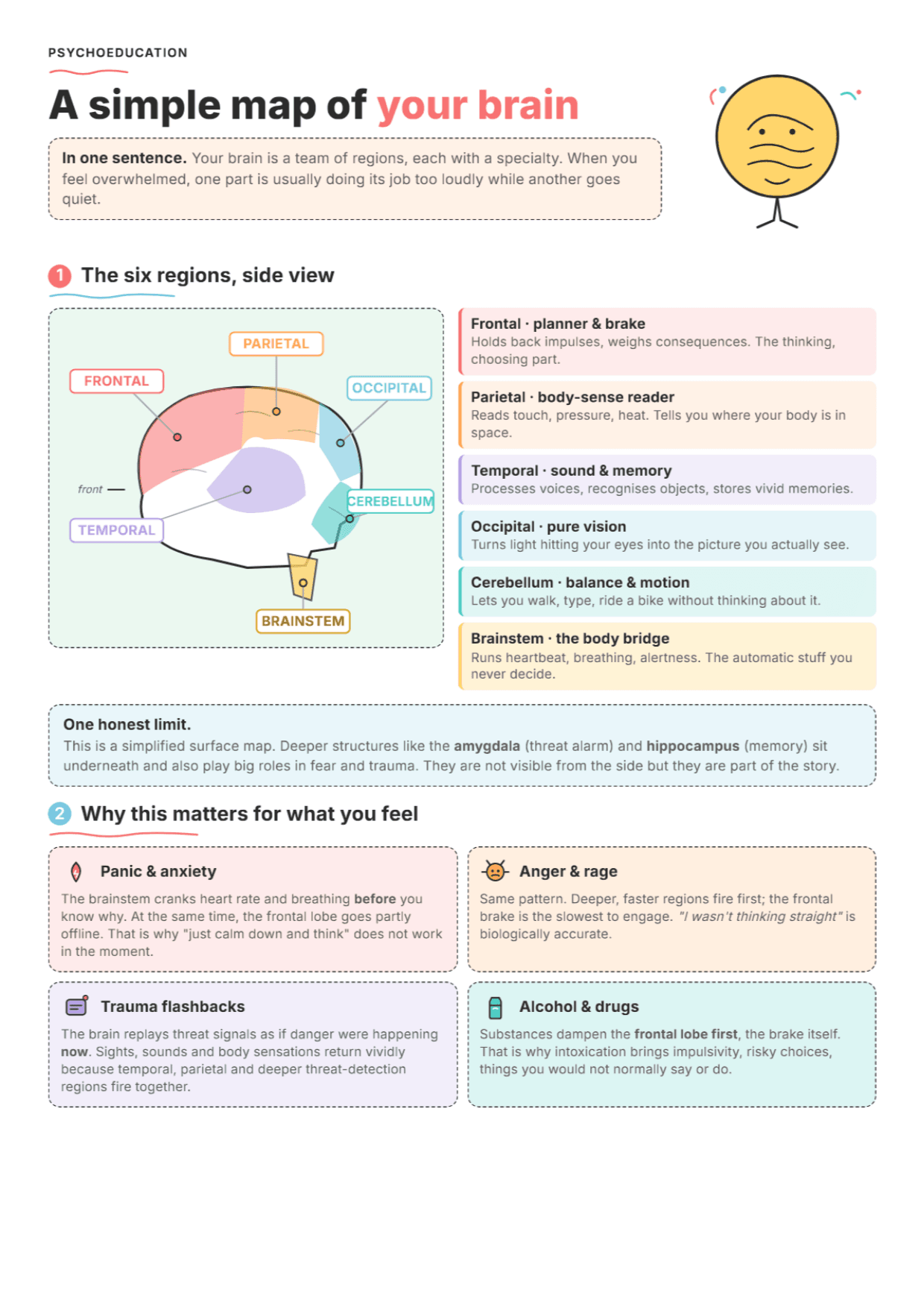 The Human Brain Diagram: PDF Worksheet, Tools and Exercises