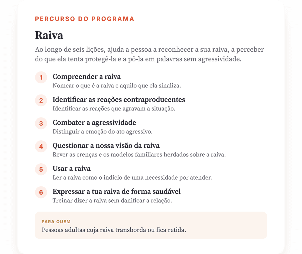 Raiva: Programa Psicoeducativo de 6 Lições para Clínicos