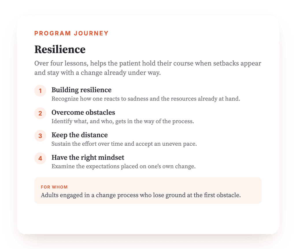 Resilience: A Structured Psychoeducation Program for Clinicians