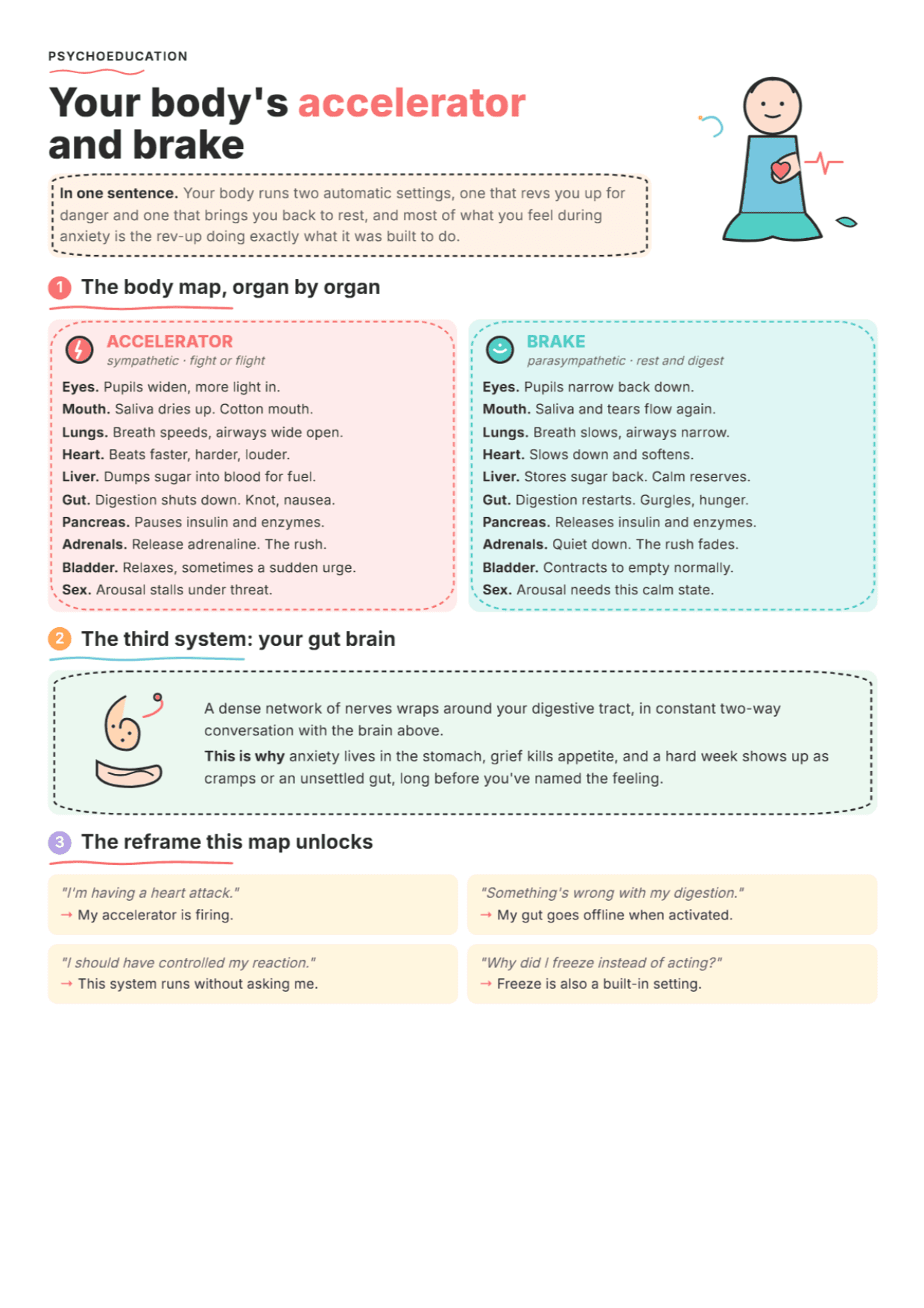 Autonomic Nervous System: PDF Worksheet, Tools and Exercises